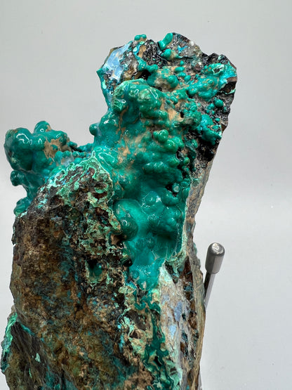 Silica Chrysocolla Specimen. Very Rare Display Crystal. High Quality Botryoidal Bubblegum Chrysocolla, Malachite, And Heterogenite.