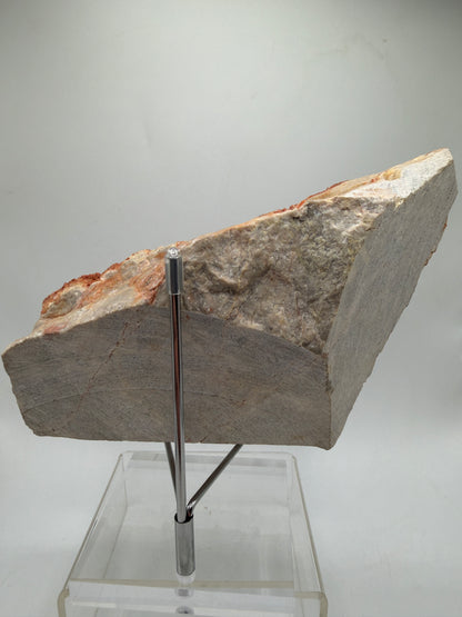 Orange Red Dogtooth Calcite Specimen. Stunning Dogtooth Flower Clusters. High Quality Rare Specimen