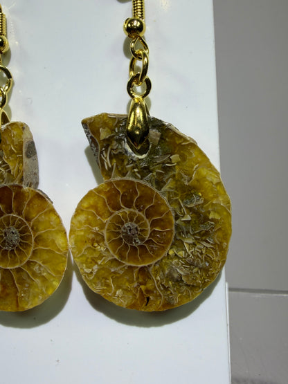 Ammonite Crystal Earrings. Amazing One Of A Kind Jewelry. High Quality Ammonite Pair