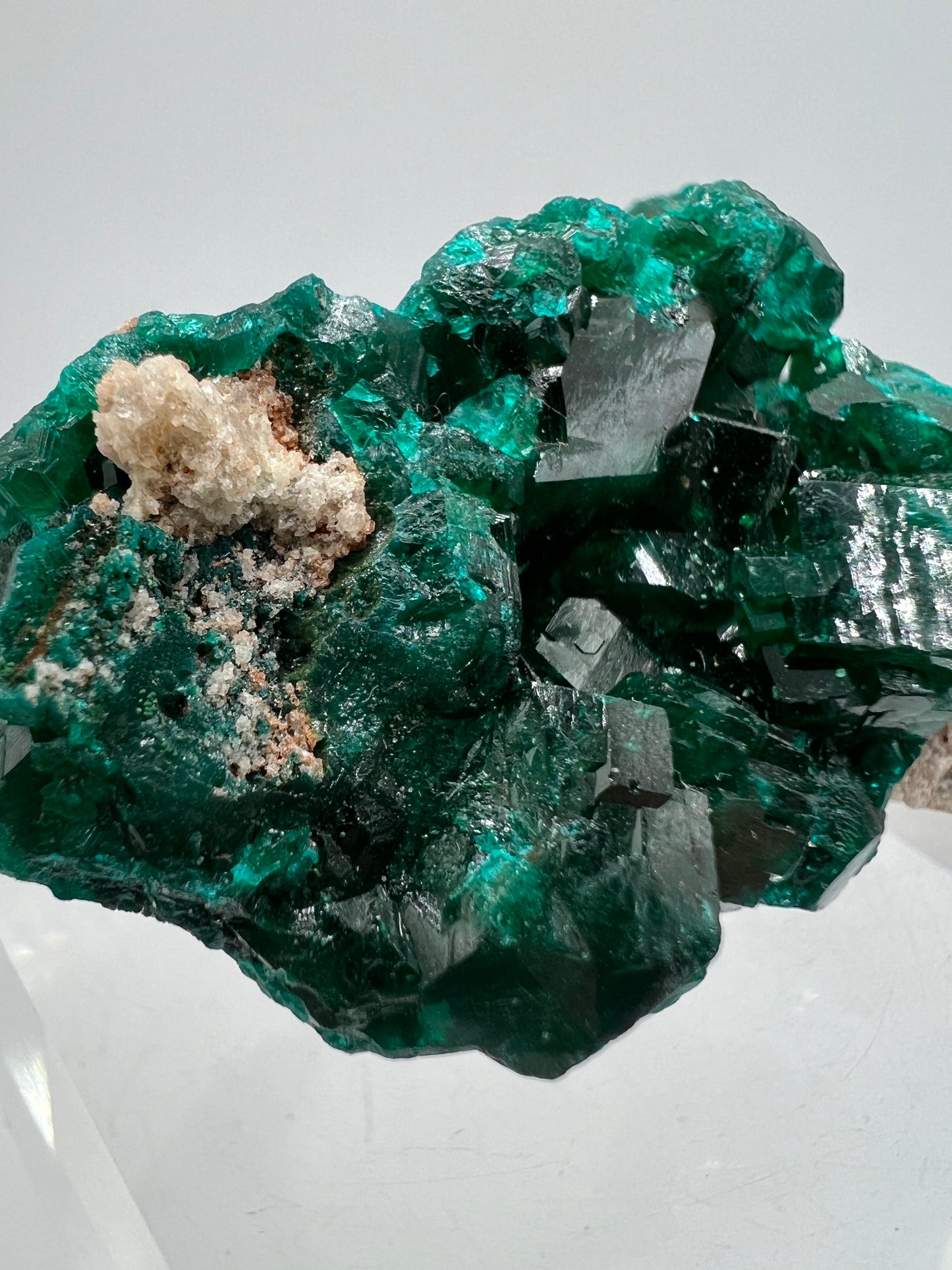 Dioptase Crystal Specimen. Gorgeous Rare Mineral From The Congo. High Quality Display Crystal