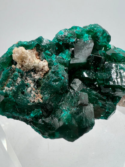 Dioptase Crystal Specimen. Gorgeous Rare Mineral From The Congo. High Quality Display Crystal