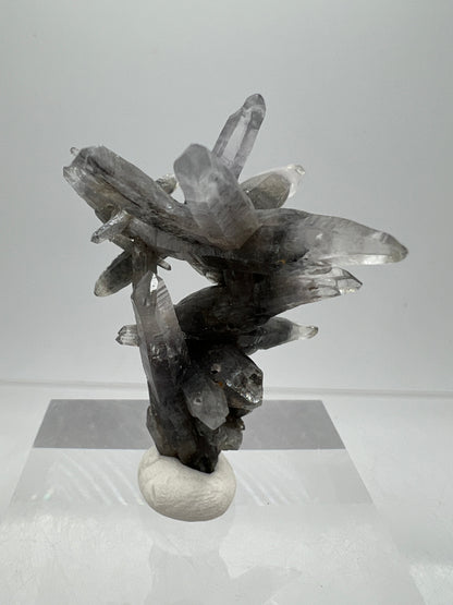 Veracruz Black Phantom Quartz Specimen. New Discovery From Mexico. Very Rare And Limited Collectors Piece. Stunning Display Crystal.