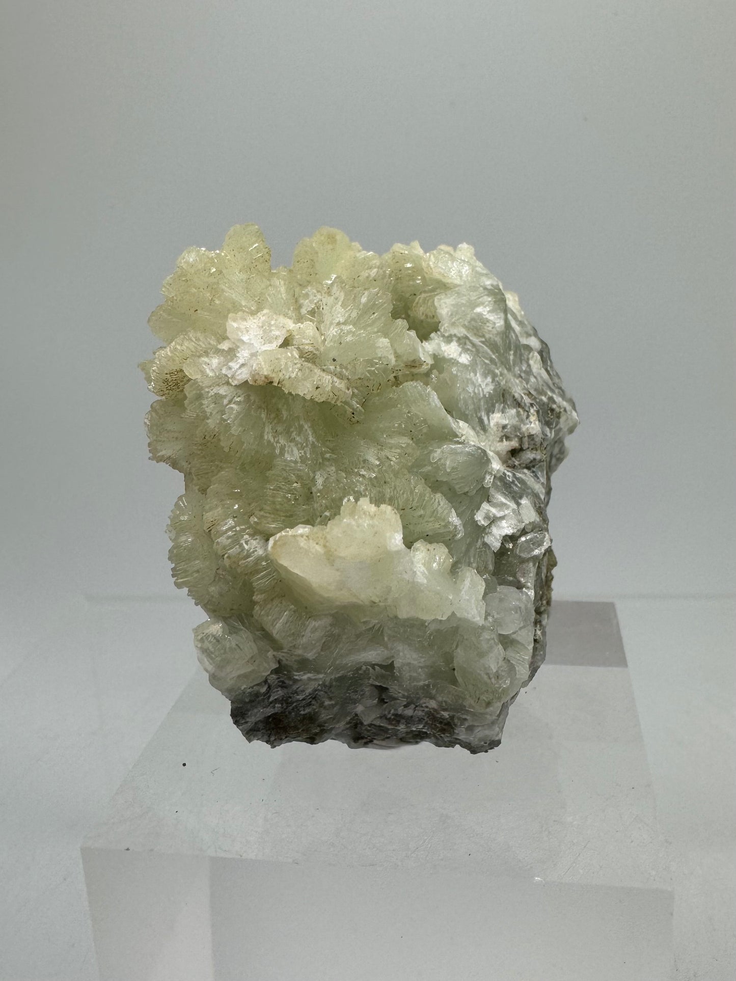 Prehnite Specimen From Morocco. Stunning Light Green Crystal Clusters. Gorgeous Mineral Display