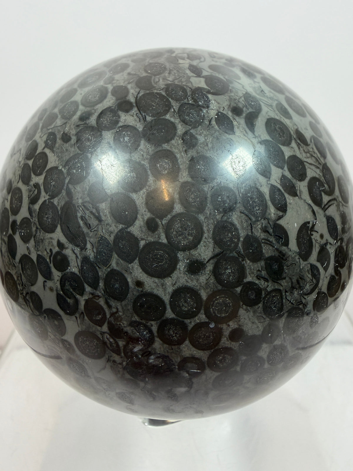 Leopardskin Jasper Sphere. 79mm. Gorgeous And Realistic Leopard Cheetah Patterns. Very Pretty Display Crystal