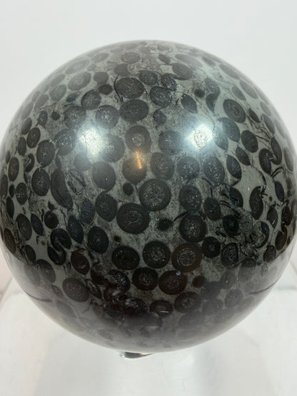 Leopardskin Jasper Sphere. 79mm. Gorgeous And Realistic Leopard Cheetah Patterns. Very Pretty Display Crystal