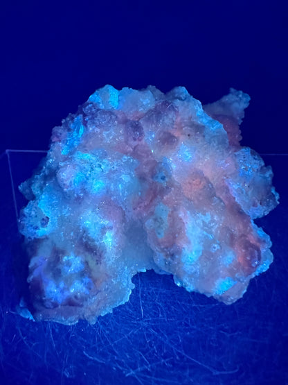 Selenite With Druzy Fluorite. Gorgeous Mineral Specimen From Mexico. UV Reactive Display Crystal.