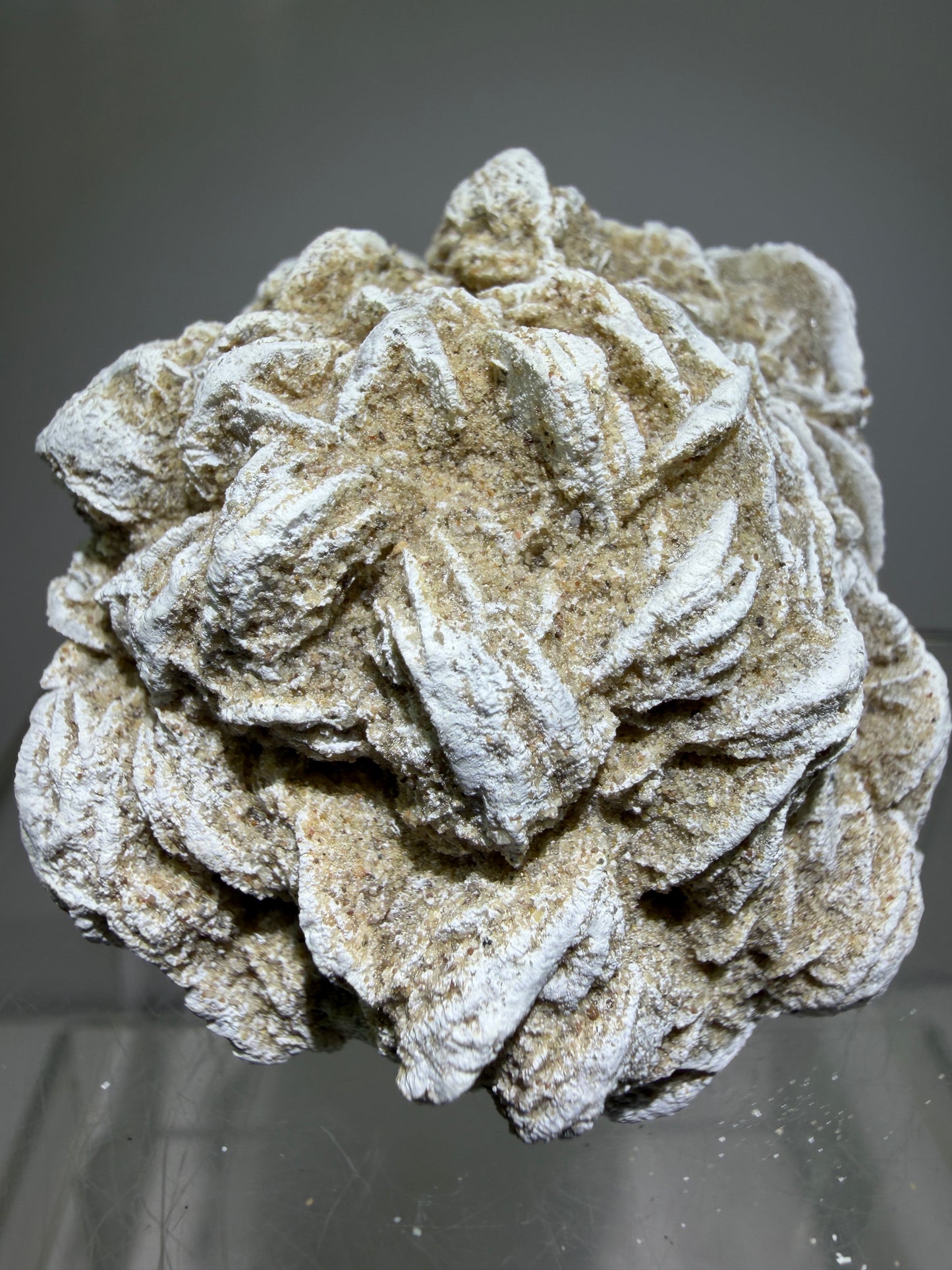 Selenite Desert Rose Specimen. Very Unique Gypsum Cluster.