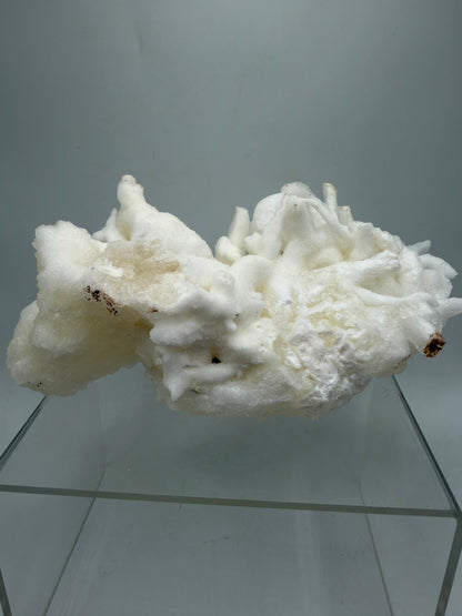 Calcite Helectite Crystal Specimen. Rare Amazing Cave Calcite Formation. High Quality Unique Mineral Display