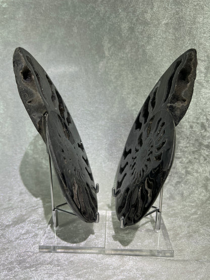 Black Ammonite Display Pair. Extra Large Rare Fossil Specimen From Madagascar. Split And Polished With Amazing Druzy.