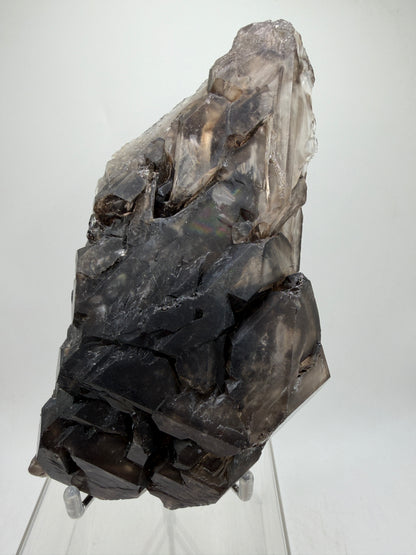 Elestial Quartz Specimen. High Quality Smoky Quartz Cluster. Amazing Colors, Excellent Windows, And Gorgeous Rainbows!