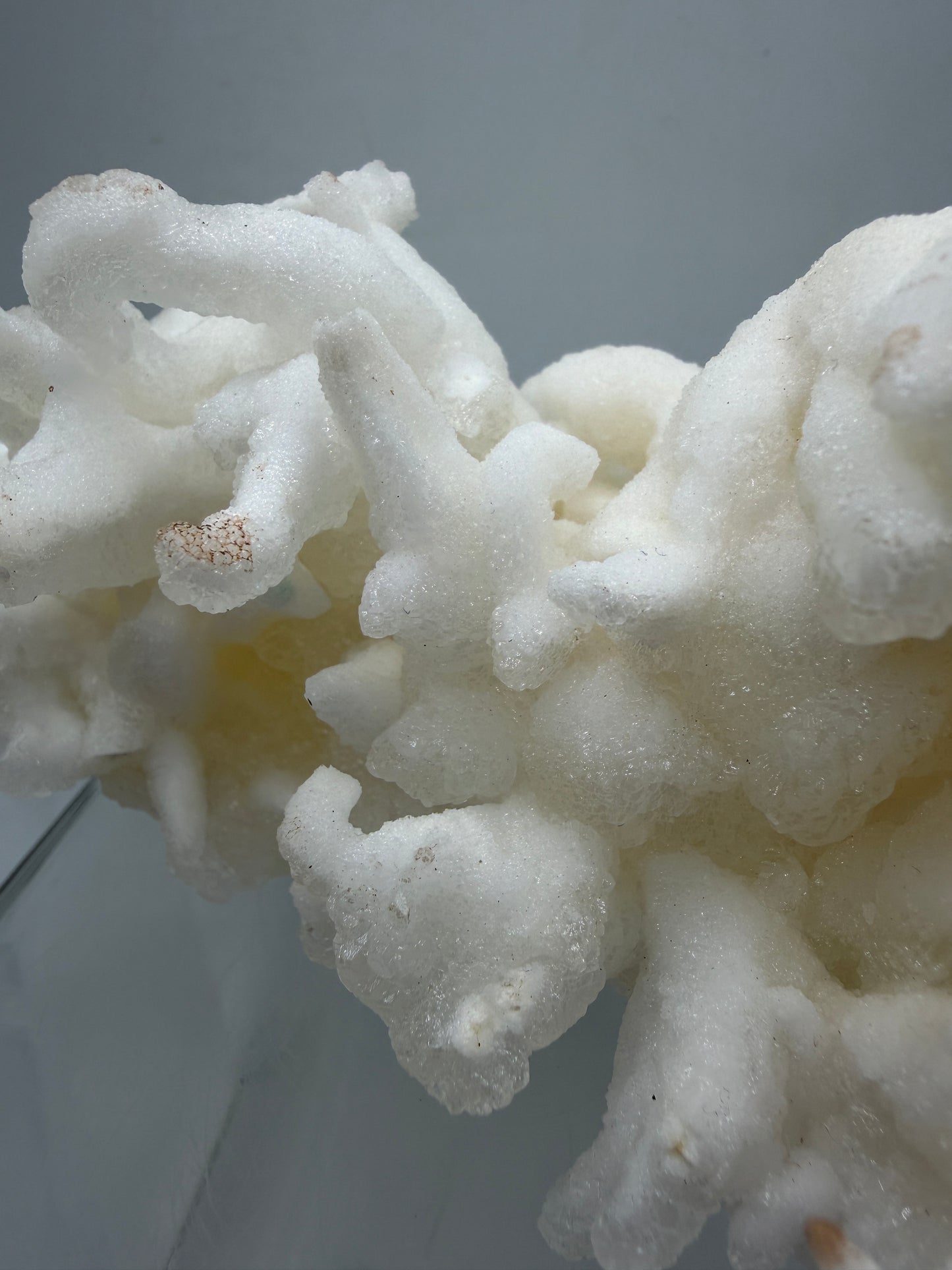 Calcite Helectite Crystal Specimen. Rare Amazing Cave Calcite Formation. High Quality Unique Mineral Display