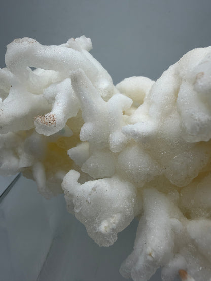 Calcite Helectite Crystal Specimen. Rare Amazing Cave Calcite Formation. High Quality Unique Mineral Display