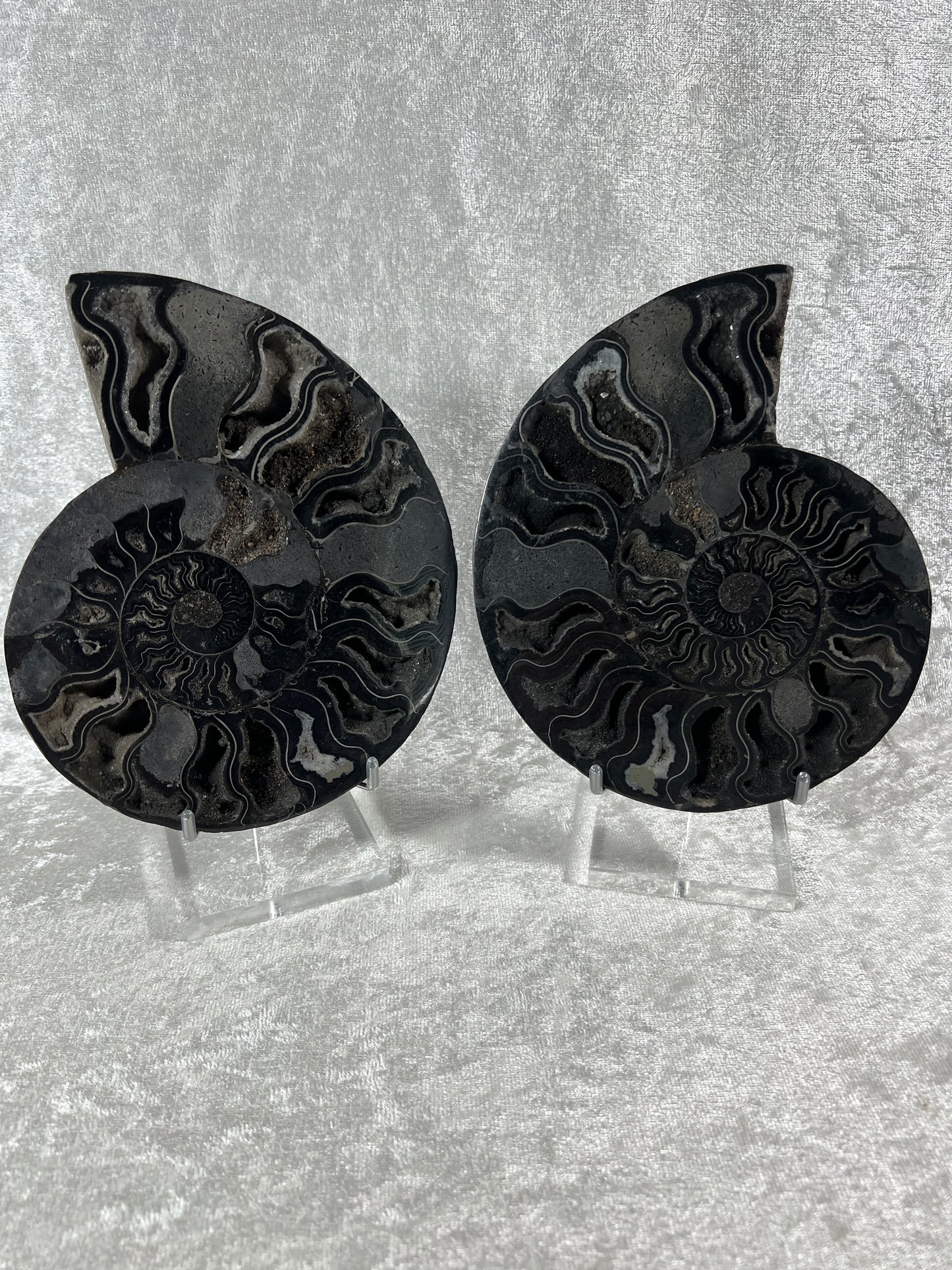 Black Ammonite Display Pair. Extra Large Rare Fossil Specimen From Madagascar. Split And Polished With Amazing Druzy.