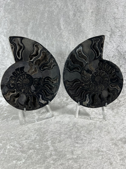 Black Ammonite Display Pair. Extra Large Rare Fossil Specimen From Madagascar. Split And Polished With Amazing Druzy.
