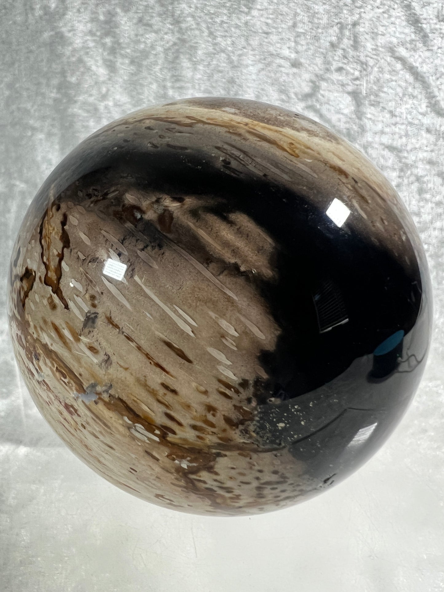 Palm Root Agate Sphere. 77mm. Gorgeous Fossilized Black Palm Root Agate. Very High Quality Crystal Sphere.