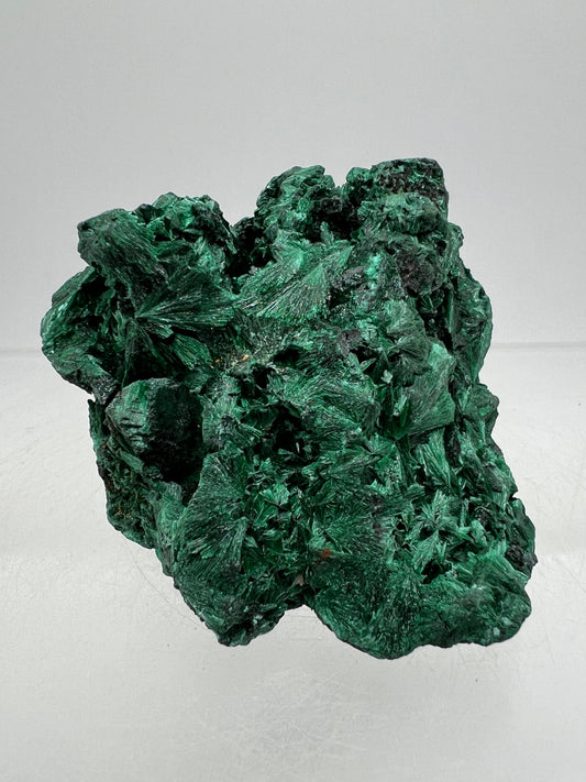 Malachite Display Specimen. Silky Malachite Cluster. High Quality Velvet Malachite From The Congo