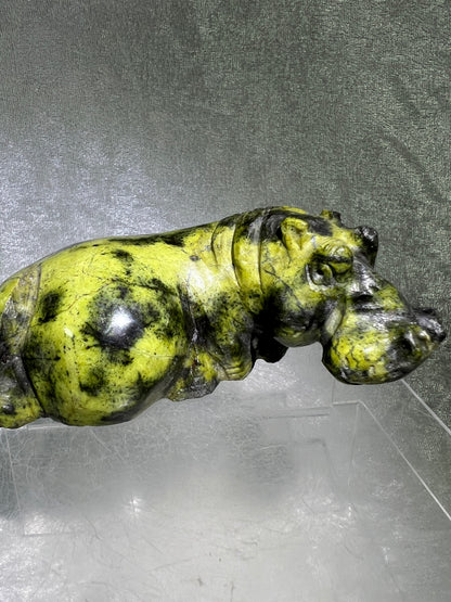 Leopard Stone Hippo Carving. Amazing Crystal Art From Zimbabwe. Incredible Collectors Piece.