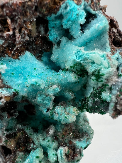 Chrysocolla And Malachite Specimen. Druzy Chrysocolla From Likasi, Congo. Gorgeous Display Crystal.