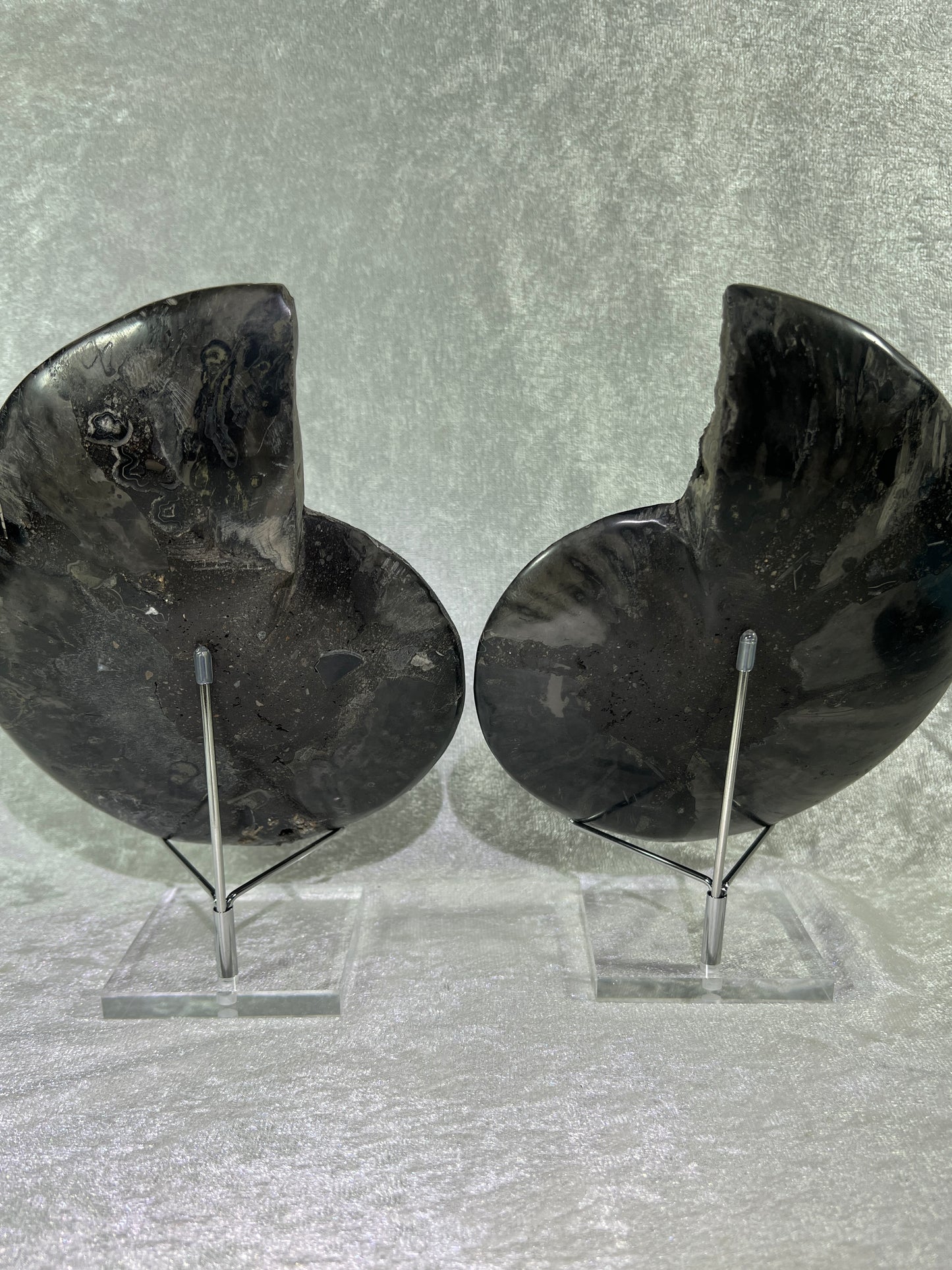 Black Ammonite Display Pair. Extra Large Rare Fossil Specimen From Madagascar. Split And Polished With Amazing Druzy.