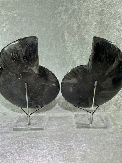 Black Ammonite Display Pair. Extra Large Rare Fossil Specimen From Madagascar. Split And Polished With Amazing Druzy.