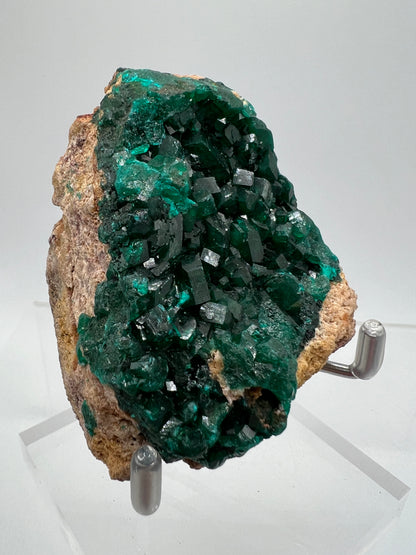 Dioptase Crystal Specimen. High Quality Flashy Mineral From The Congo. Gorgeous Colors And Cubes.