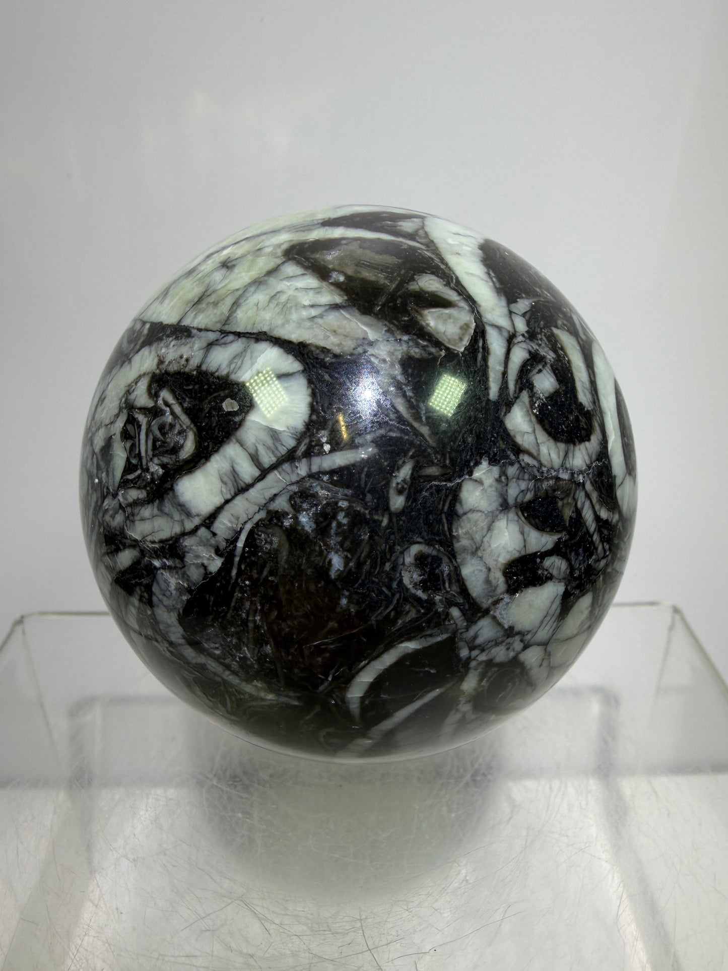 Black Crinoid Fossil Sphere: 66mm. High Quality Rare Crystal Sphere. Incredible One Of A Kind Display Sphere.