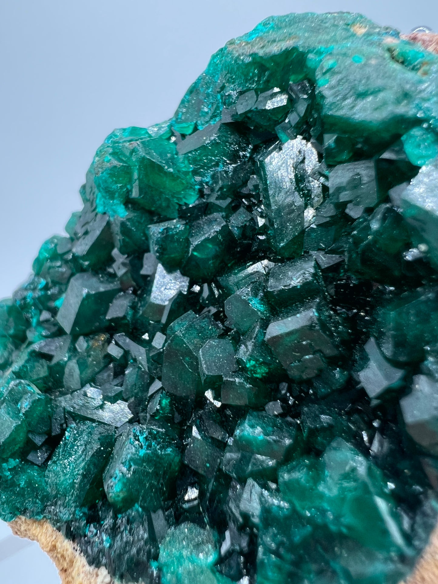 Dioptase Crystal Specimen. High Quality Flashy Mineral From The Congo. Gorgeous Colors And Cubes.