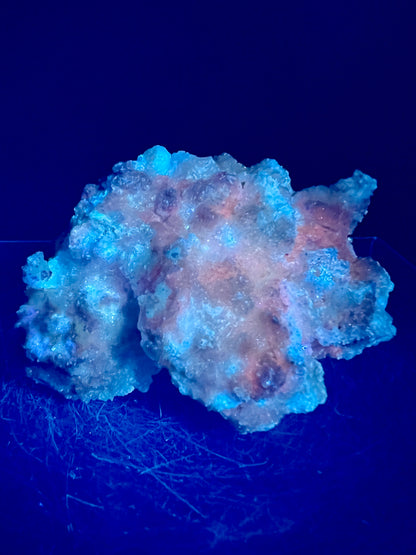 Selenite With Druzy Fluorite. Gorgeous Mineral Specimen From Mexico. UV Reactive Display Crystal.