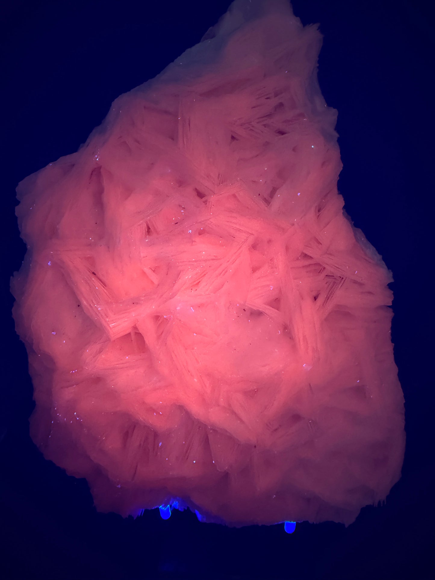 White Rose Bladed Calcite. Extra Large Angel Wing Calcite Specimen. High Quality UV Statement Piece.