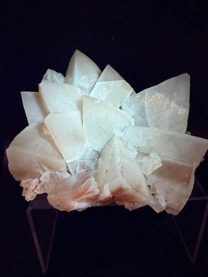 Mariposa Butterfly Calcite Cluster. Large Beautiful Calcite From Mexico. Fantastic High Quality Mineral Specimen