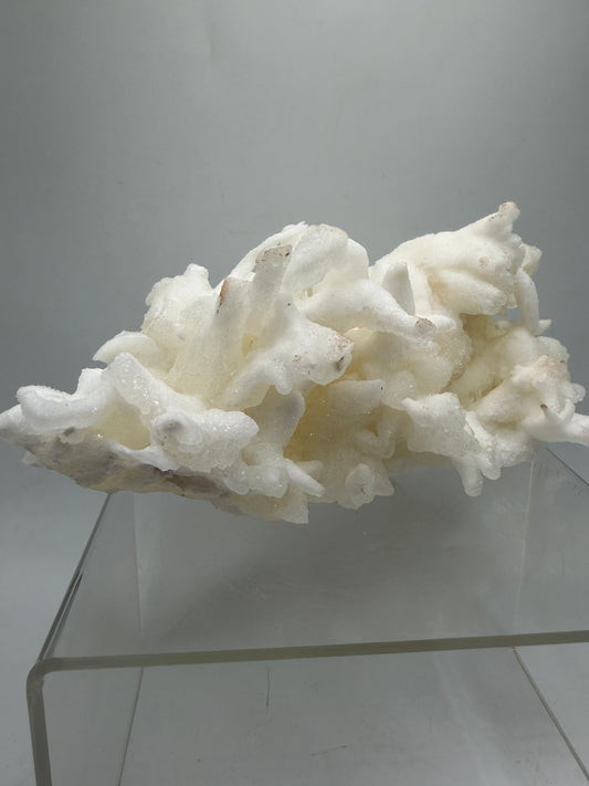 Calcite Helectite Crystal Specimen. Rare Amazing Cave Calcite Formation. High Quality Unique Mineral Display