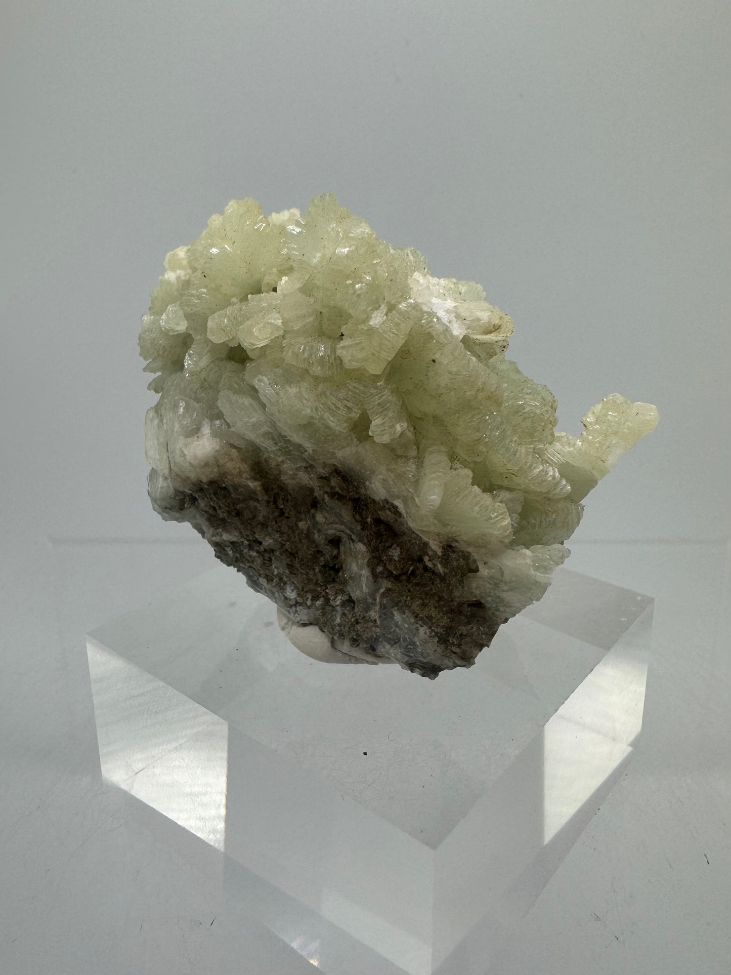 Prehnite Specimen From Morocco. Stunning Light Green Crystal Clusters. Gorgeous Mineral Display