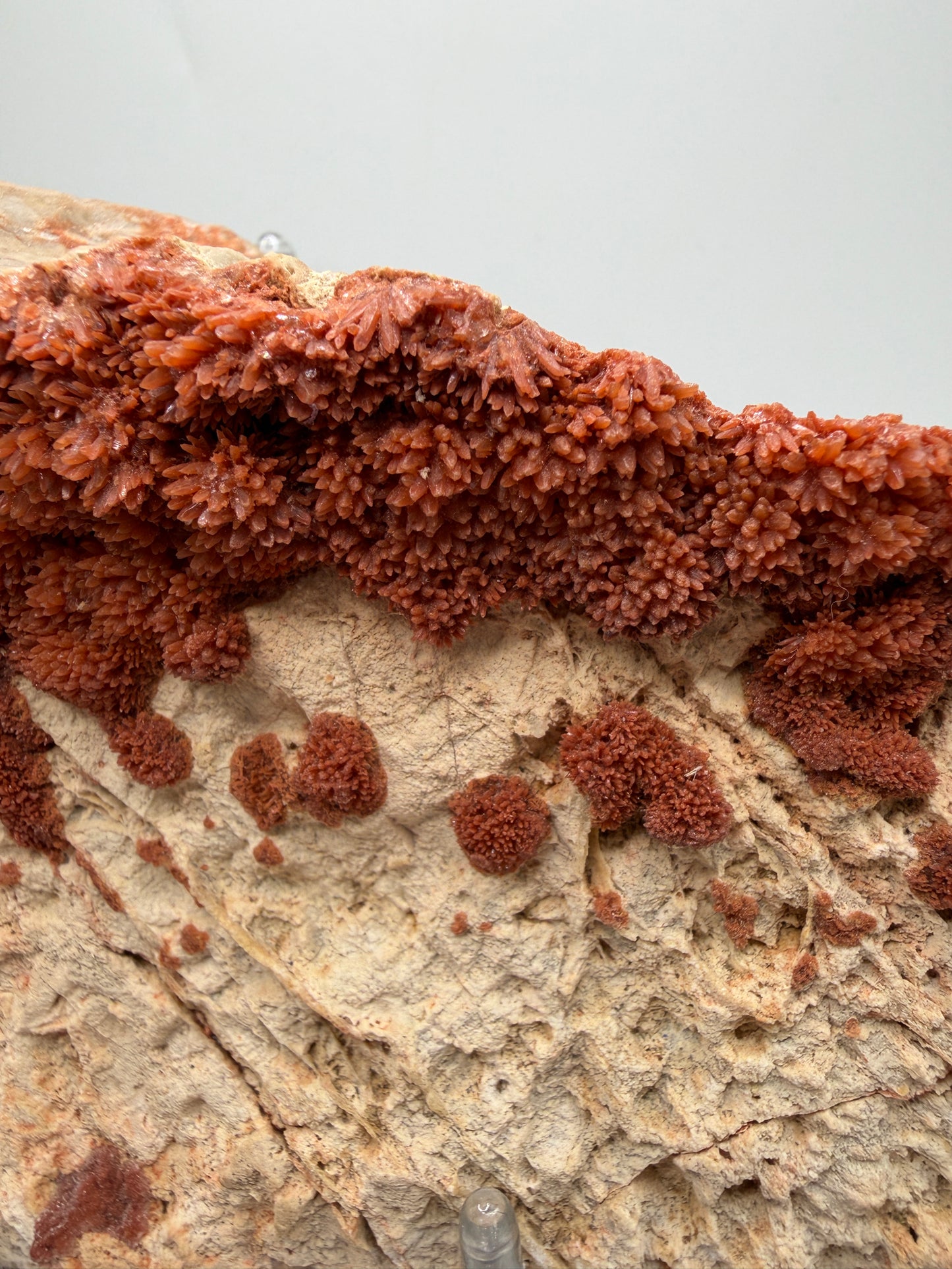 Orange Red Dogtooth Calcite Specimen. Stunning Dogtooth Flower Clusters. High Quality Rare Specimen