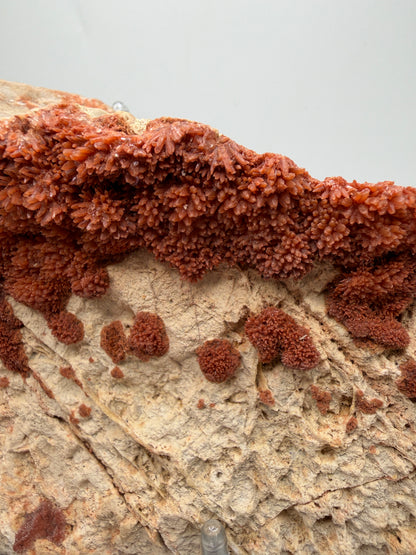 Orange Red Dogtooth Calcite Specimen. Stunning Dogtooth Flower Clusters. High Quality Rare Specimen