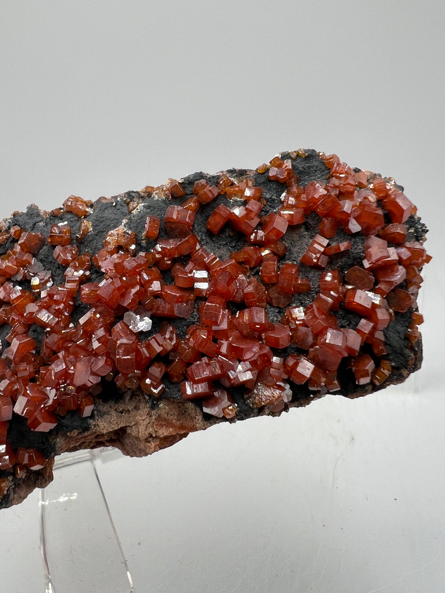 Vanadinite On Goethite Matrix. Stunning Color Contrast. Gorgeous Mineral Specimen From Morocco