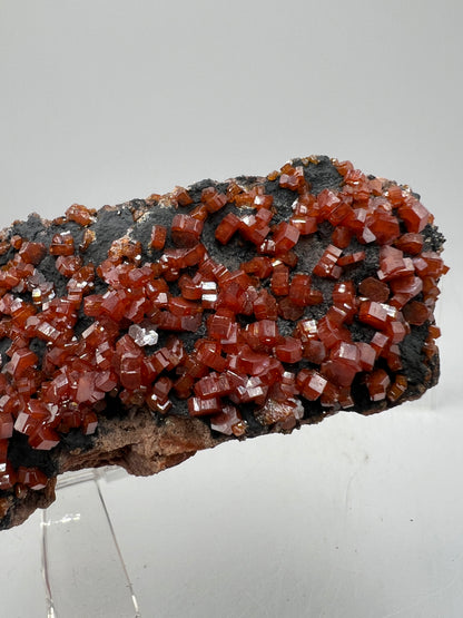 Vanadinite On Goethite Matrix. Stunning Color Contrast. Gorgeous Mineral Specimen From Morocco