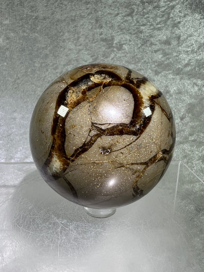 Septarian Crystal Sphere. 65mm. Amazing Dragons Egg Display Crystal. Extraordinary Mineral From Madagascar.