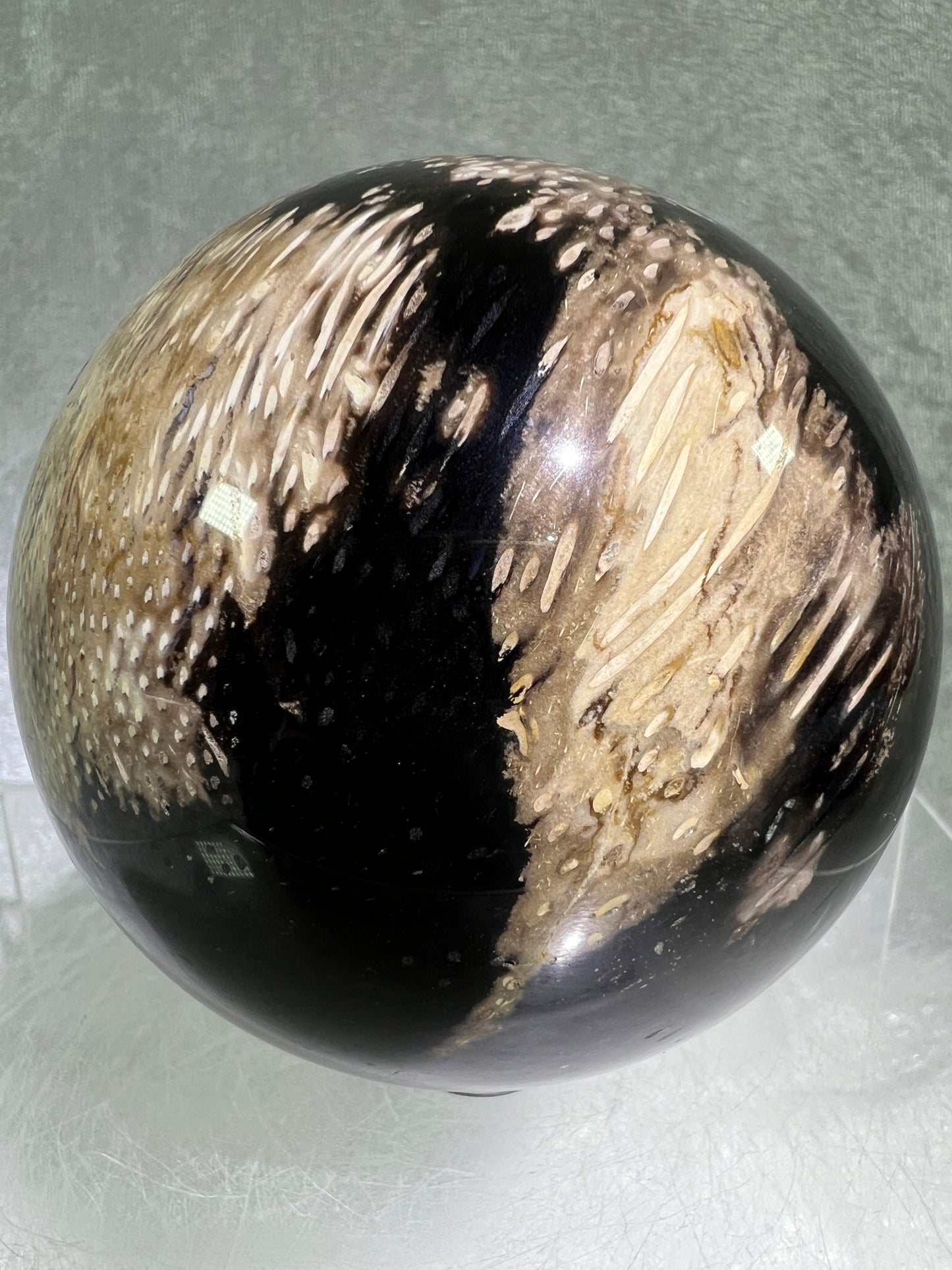 Palm Root Agate Sphere. 76mm. Incredible Fossilized Black Palm Root Agate. Very High Quality Crystal Sphere.