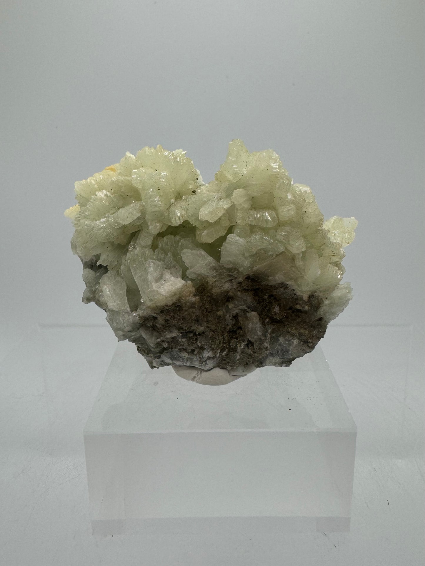 Prehnite Specimen From Morocco. Stunning Light Green Crystal Clusters. Gorgeous Mineral Display