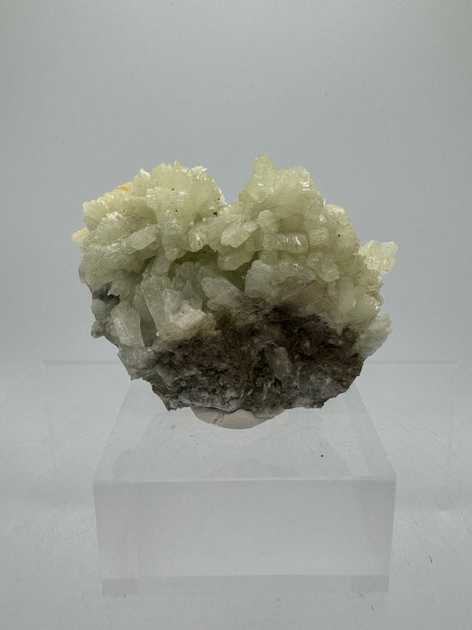 Prehnite Specimen From Morocco. Stunning Light Green Crystal Clusters. Gorgeous Mineral Display