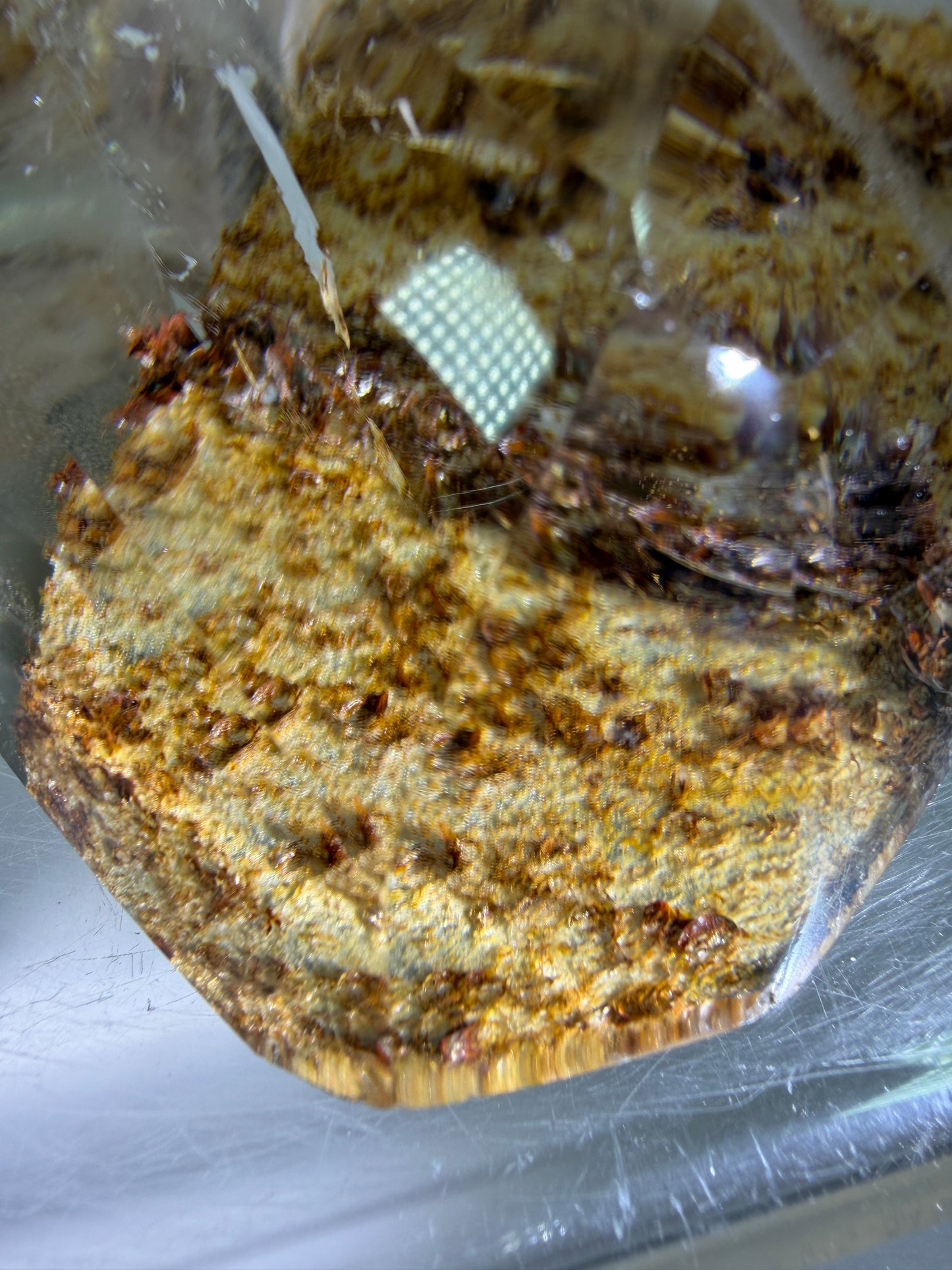 Garden Quartz Polished Freeform. Gorgeous Red And Yellow Landscape Quartz From Brazil. Very High Quality Lodolite Freeform.