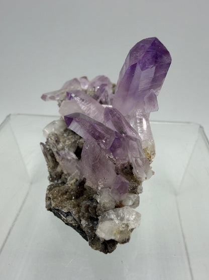 Veracruz Amethyst Display Cluster. Gorgeous Deep Purple High Quality Specimen. World Famous Rare Amethyst