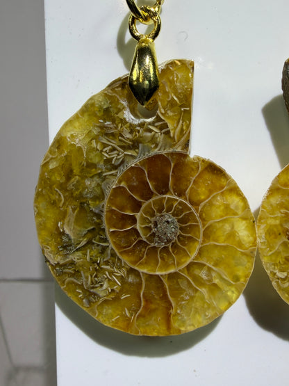 Ammonite Crystal Earrings. Amazing One Of A Kind Jewelry. High Quality Ammonite Pair