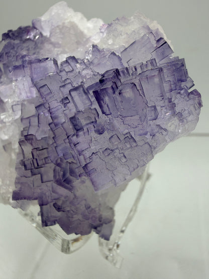 Muzquiz Purple Fluorite Specimen. Rare Mexican Fluorite Specimen. Gorgeous Collectible Display Crystal