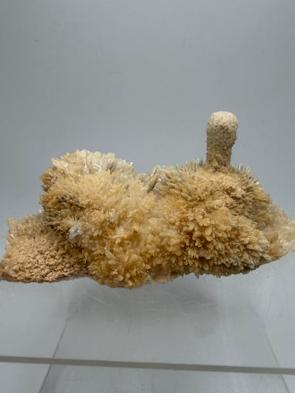 Dogtooth Calcite And Stalagmite Specimen. Stunning Flower Clusters. High Quality Rare Specimen.