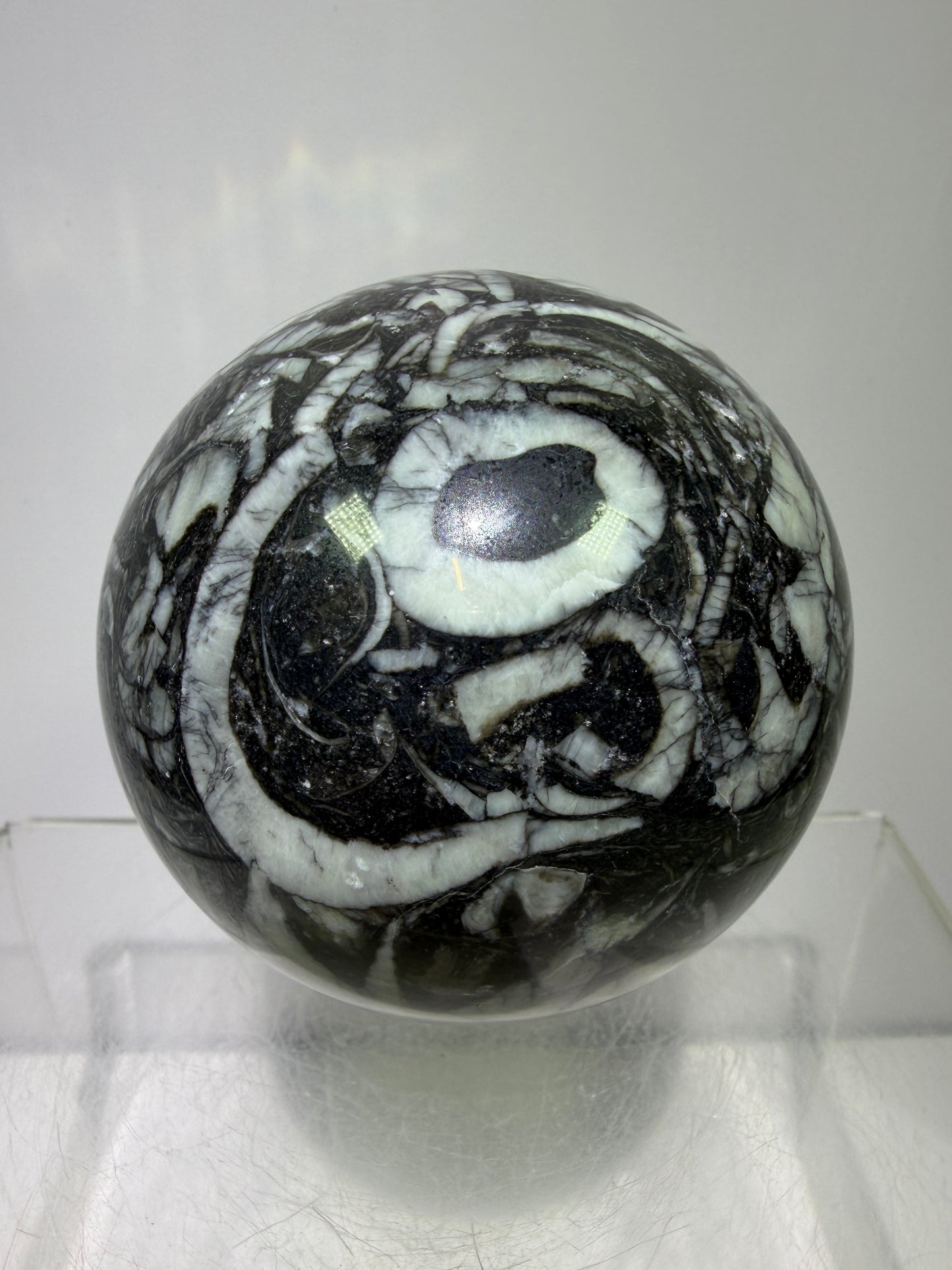 Black Crinoid Fossil Sphere: 66mm. High Quality Rare Crystal Sphere. Incredible One Of A Kind Display Sphere.