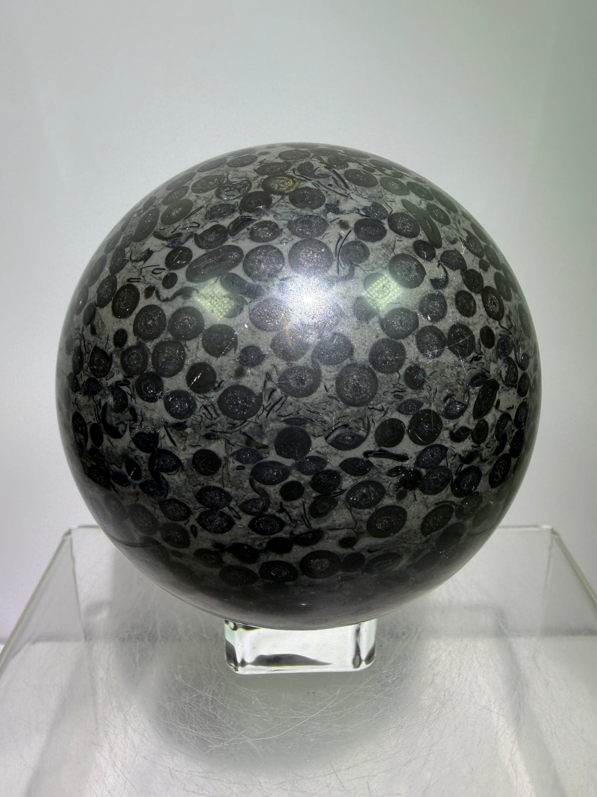 Leopardskin Jasper Sphere. 79mm. Gorgeous And Realistic Leopard Cheetah Patterns. Very Pretty Display Crystal