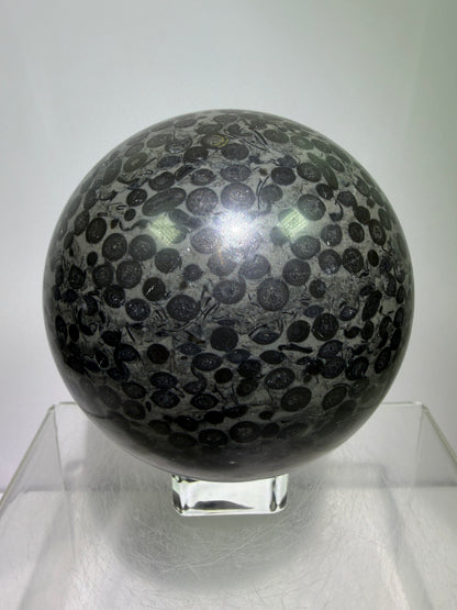 Leopardskin Jasper Sphere. 79mm. Gorgeous And Realistic Leopard Cheetah Patterns. Very Pretty Display Crystal