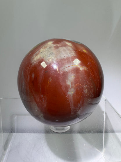 Petrified Wood Sphere. 62mm. Rare Display Sphere From Madagascar. Amazing Colors And Patterns.
