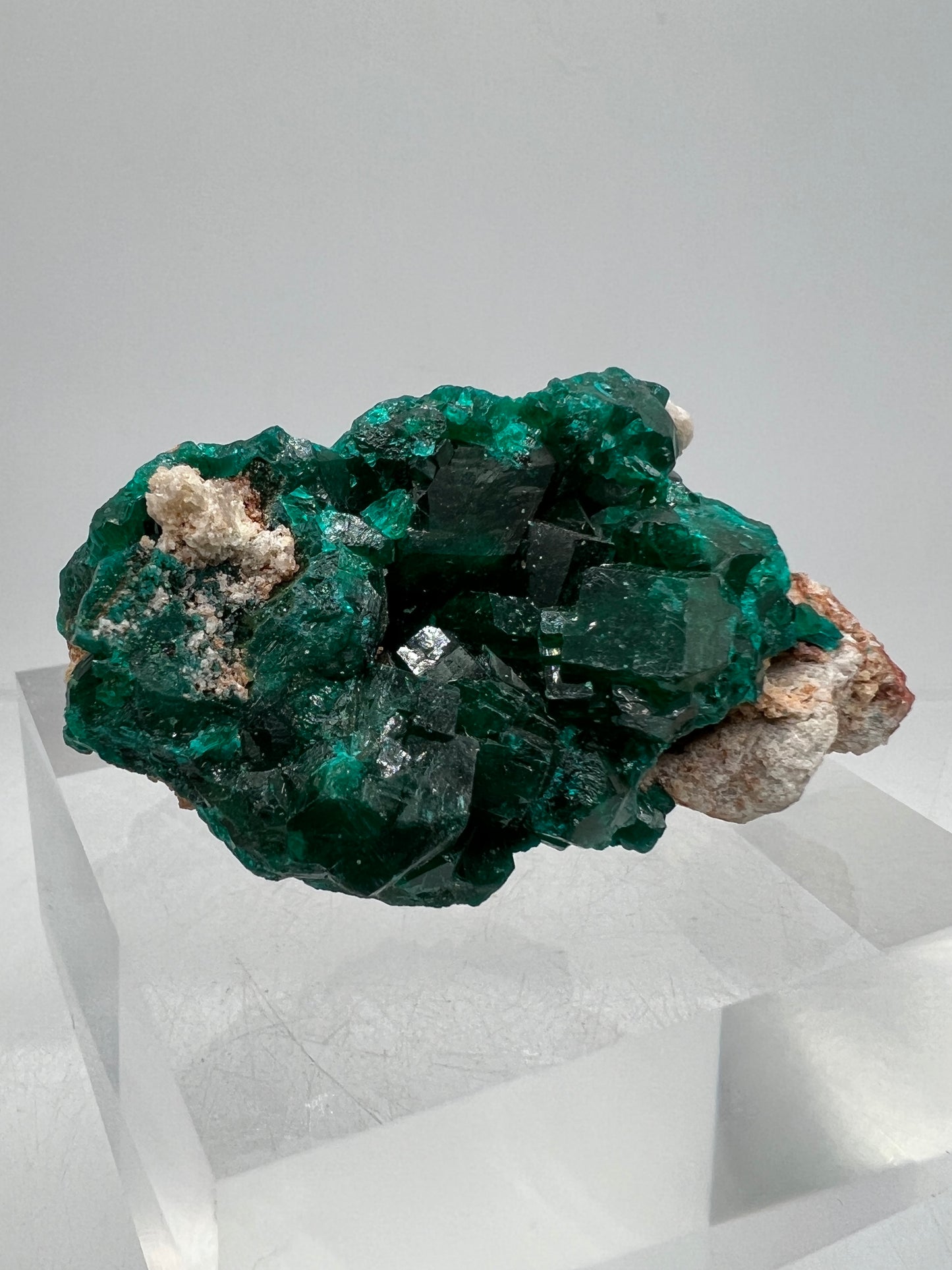 Dioptase Crystal Specimen. Gorgeous Rare Mineral From The Congo. High Quality Display Crystal